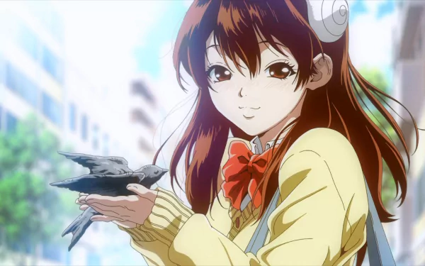 HD PC desktop wallpaper featuring Yuzuriha Ogawa from Dr. Stone, smiling gently while holding a small bird in an outdoor urban setting.