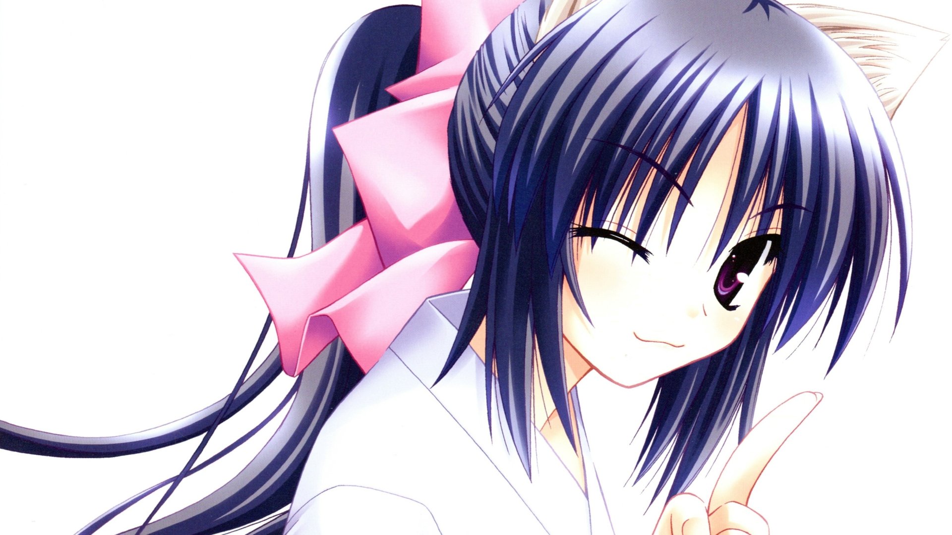 Download Himari Noihara Anime Omamori Himari 4k Ultra HD Wallpaper