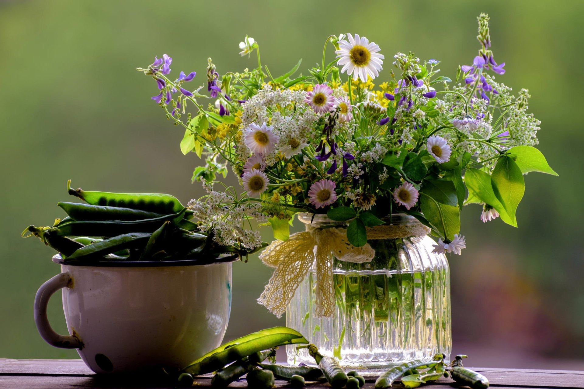 Download Pea Flower Photography Still Life HD Wallpaper