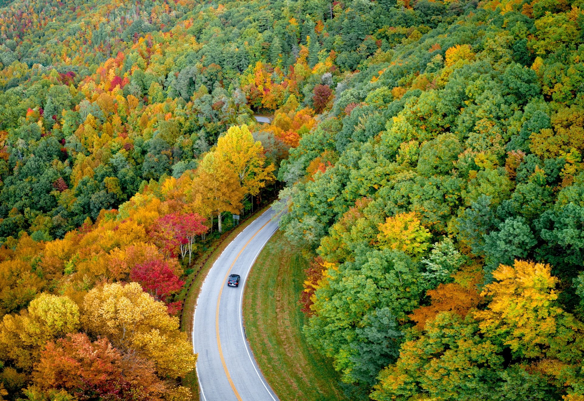 Download Road Forest Photography Aerial 4k Ultra HD Wallpaper by Nathan Anderson