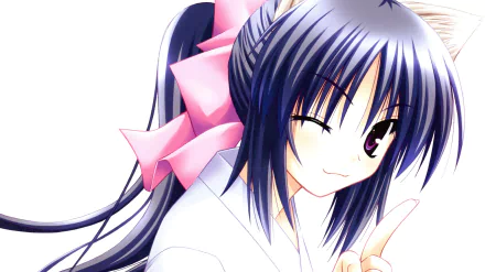 Himari Noihara Anime Omamori Himari HD Desktop Wallpaper | Background Image