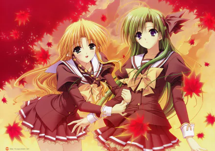 Asa Shigure Kareha (Shuffle!) Anime Shuffle! HD Desktop Wallpaper | Background Image