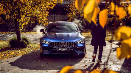 vehicle Mercedes-Benz AMG GT HD Desktop Wallpaper | Background Image