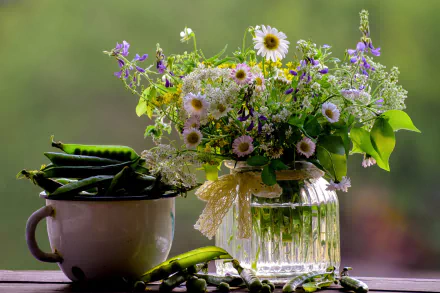 pea flower photography still life HD Desktop Wallpaper | Background Image