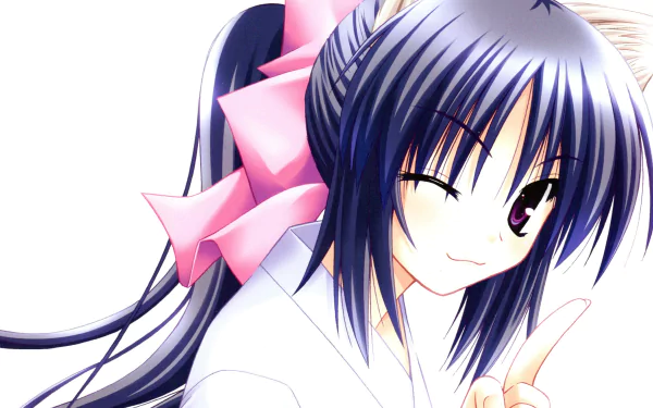 Himari Noihara Anime Omamori Himari HD Desktop Wallpaper | Background Image