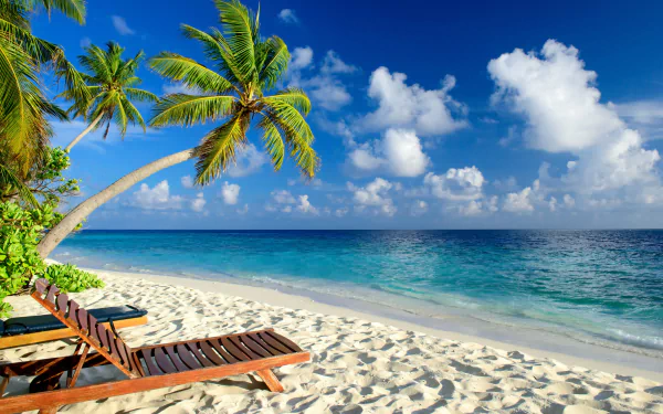 4K Ultra HD beach scene with soft white sand, a leaning palm tree, clear blue sea, and a vibrant sky with scattered clouds along the tropical horizon.