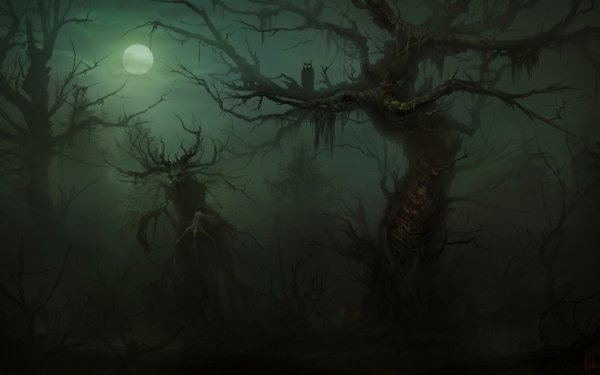Dark Forest Tree Moonlight Creature HD Wallpaper | Background Image