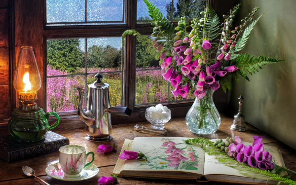 teacup book pitcher flower kerosene lamp window photography still life HD Desktop Wallpaper | Background Image