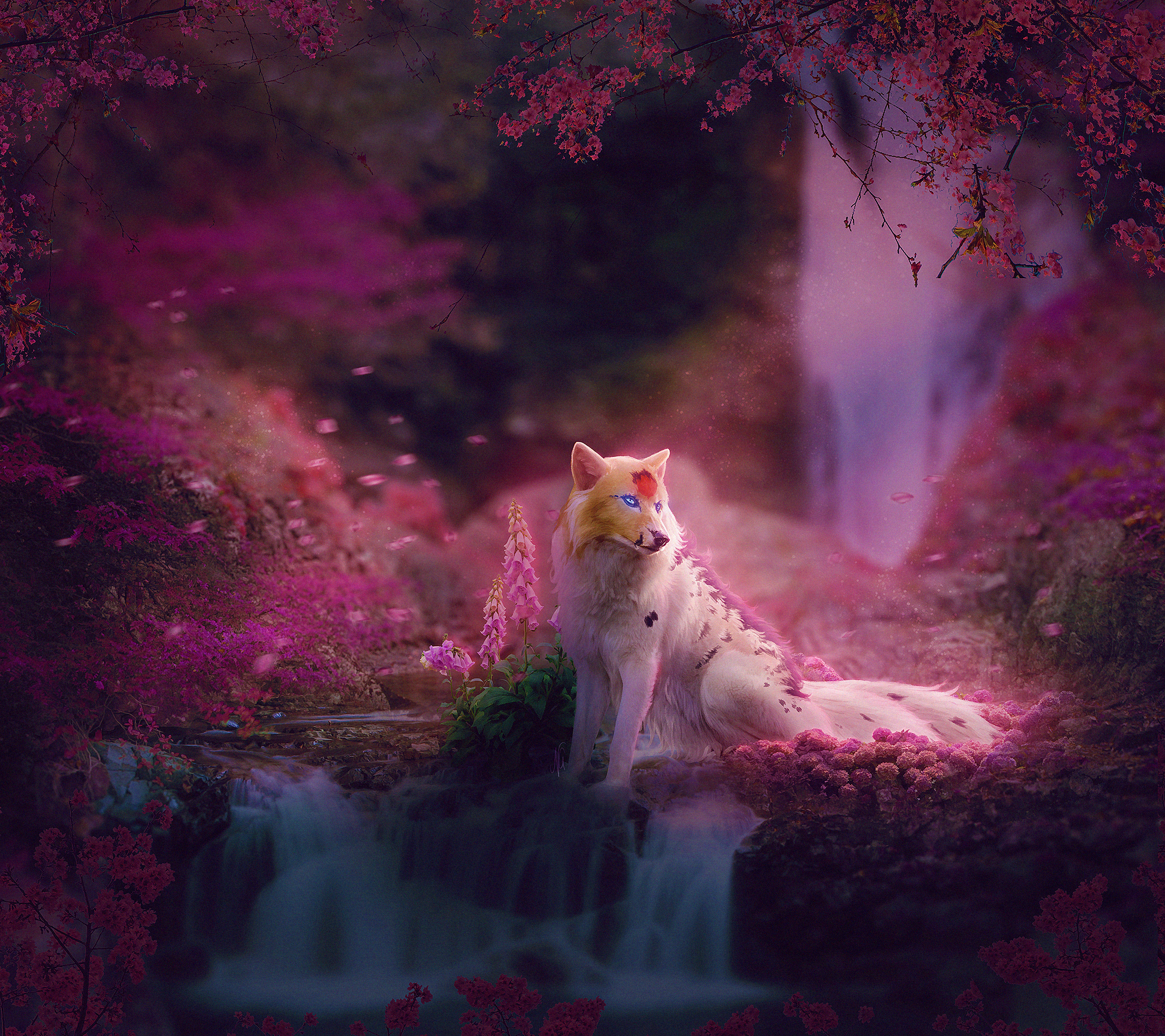 The little fox and the flower  Fantasy  Abstract Background Wallpapers on  Desktop Nexus Image 2416299