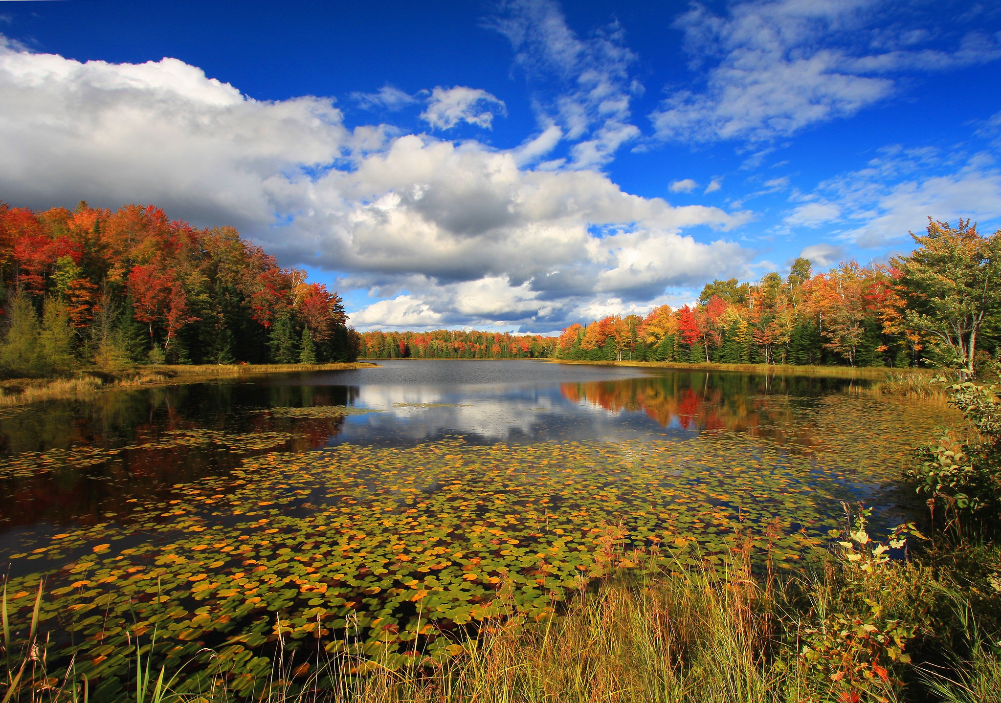 Download Nature Sky Cloud Fall Lake HD Wallpaper