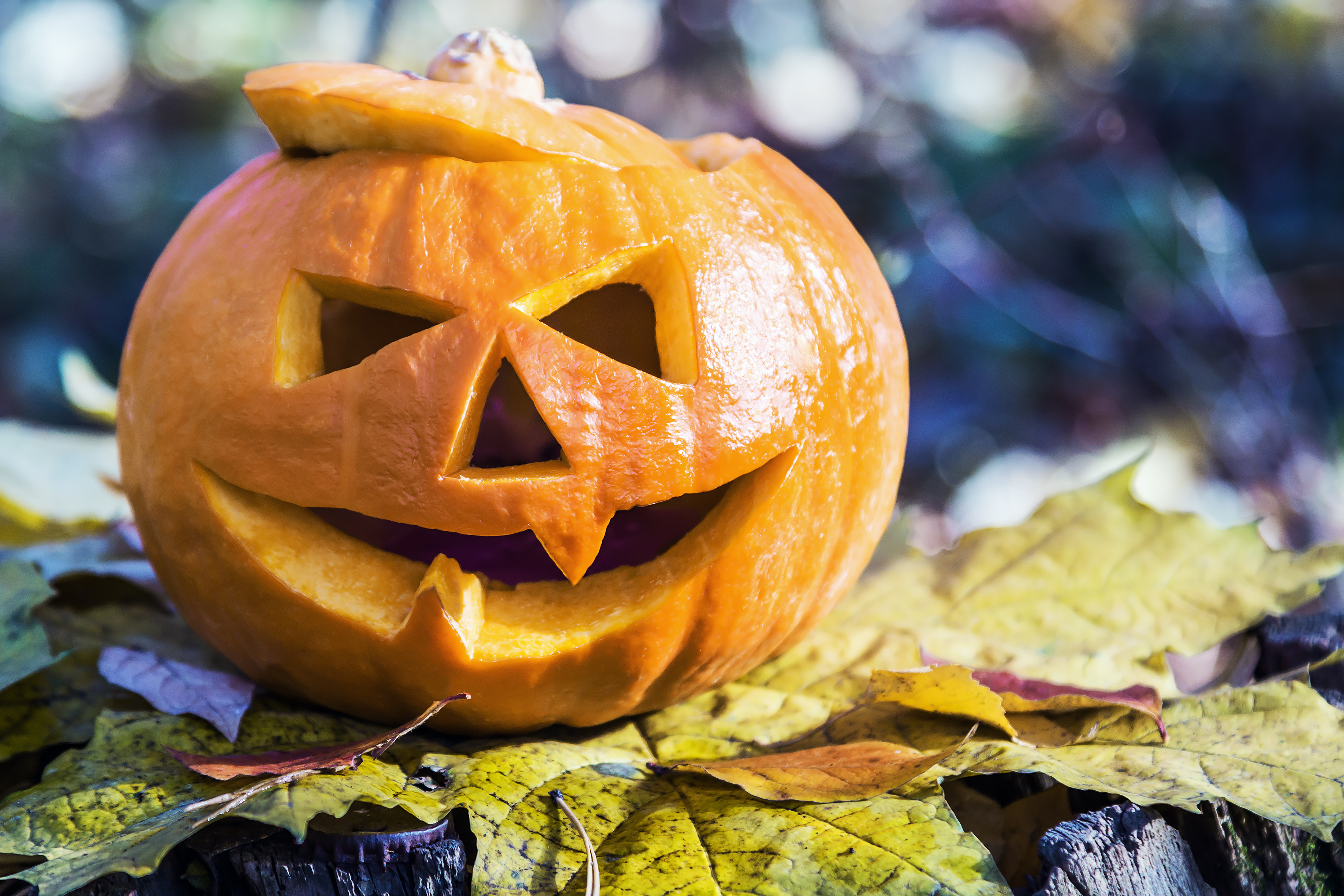 Download Jack-o'-lantern Pumpkin Holiday Halloween HD Wallpaper