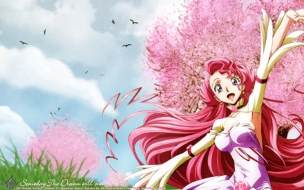 Euphemia Li Britannia Anime Code Geass HD Desktop Wallpaper | Background Image