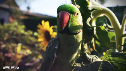  Bird Blvd - Ludovic