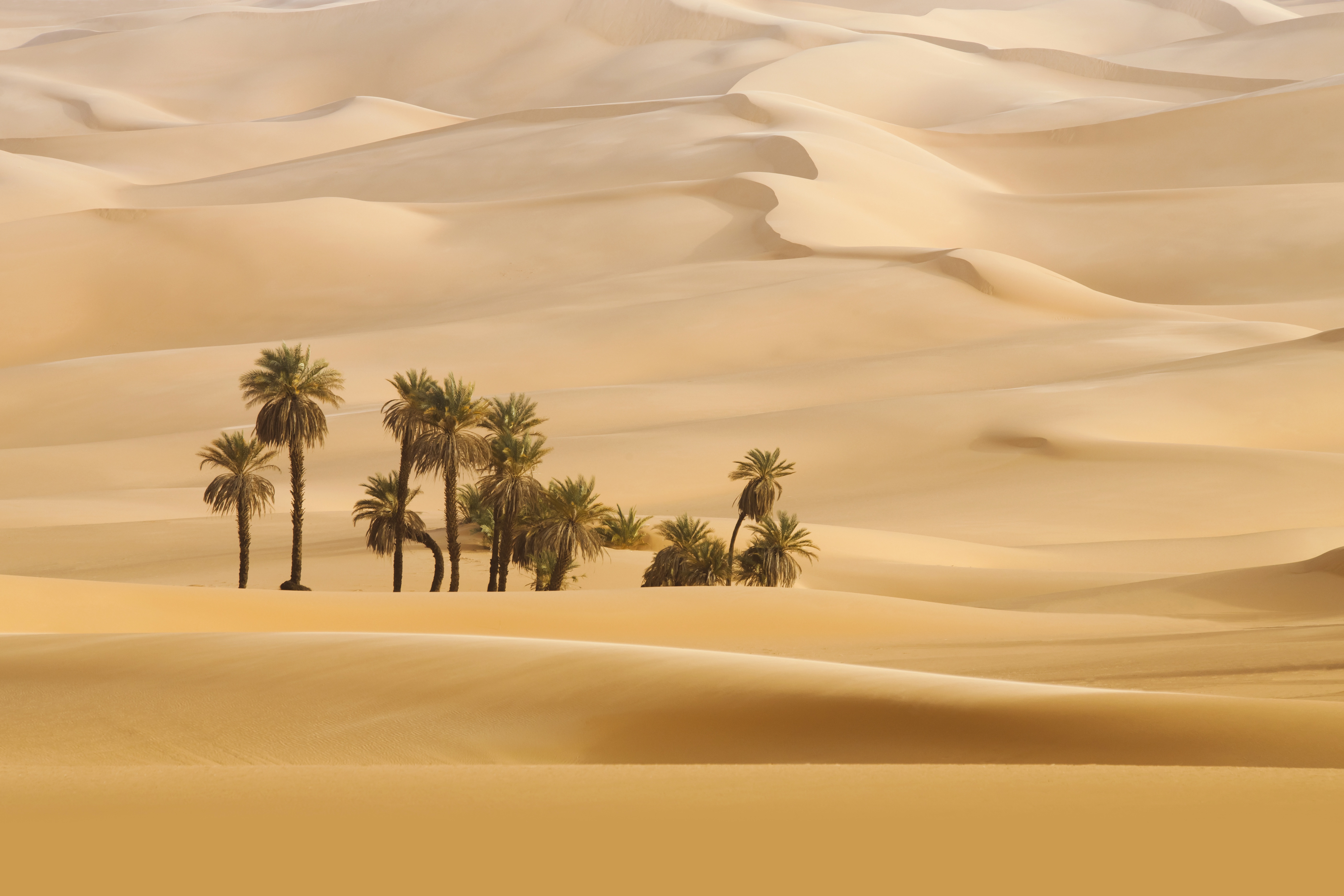 Download Sand Dune Sand Nature Desert 4k Ultra Hd Wallpaper