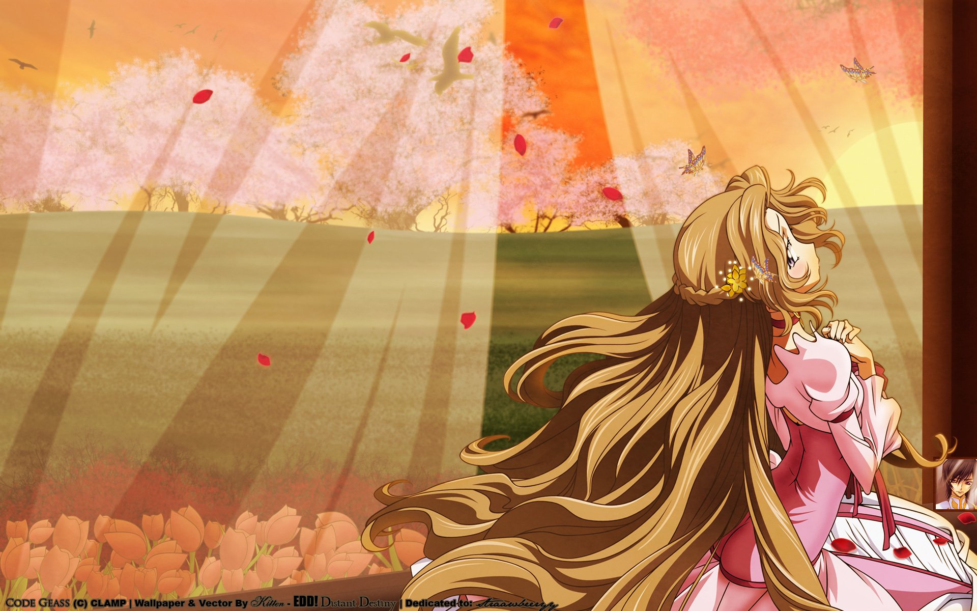 HD PC desktop wallpaper featuring Nunnally Lamperouge from the anime Code Geass, with warm sunlight and falling petals creating a serene atmosphere.