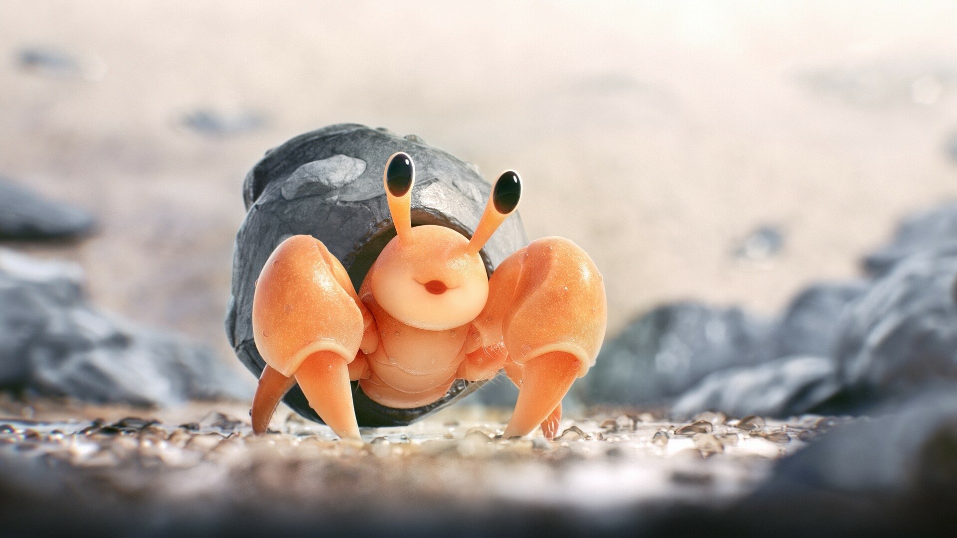 HD PC desktop wallpaper of Dwebble (Pokémon) from the Pokémon video game: close-up on sandy ground, bright orange claws and shell in soft-focus background.