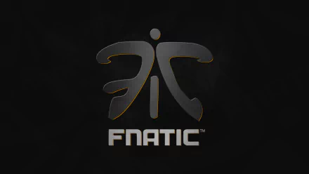gaming team esports video game Fnatic HD Desktop Wallpaper | Background Image