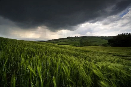 A lush green field under an ominous sky, with dark clouds looming above and hills in the distance. This HD nature wallpaper captures the beauty and drama of the landscape.