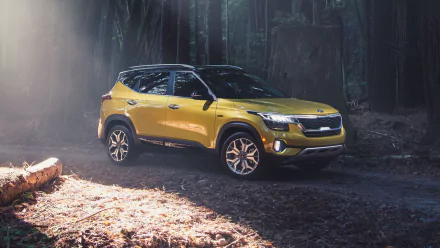 vehicle Kia Seltos HD Desktop Wallpaper | Background Image