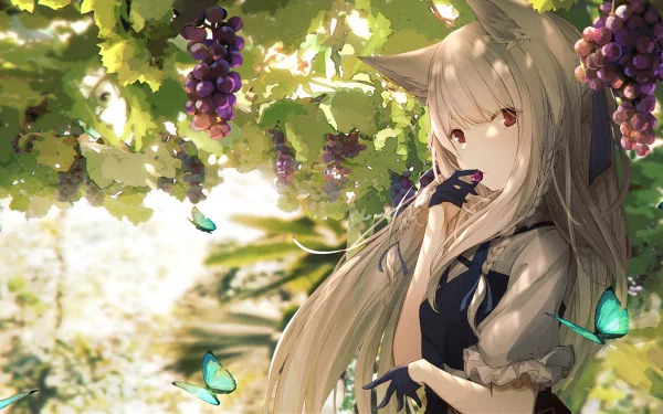 Anime character with white hair, red eyes, and animal ears standing in a vineyard, surrounded by butterflies and grapes. HD desktop wallpaper featuring an original artwork.