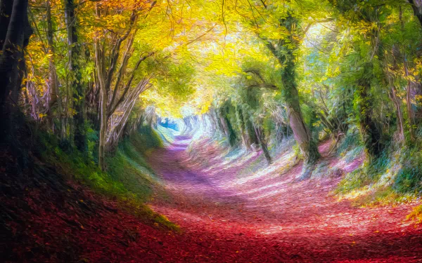  Forest Path - Oil on Canvas