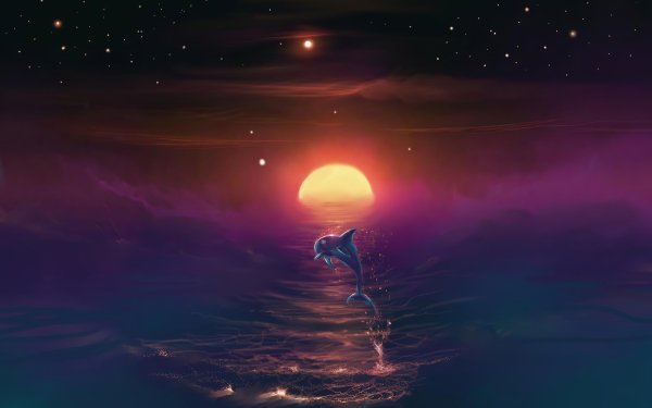 Fantasy Animal Dolphin Ocean Horizon Sunset HD Wallpaper | Background Image