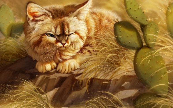 Fantasy Cat Fantasy Animals HD Wallpaper | Background Image