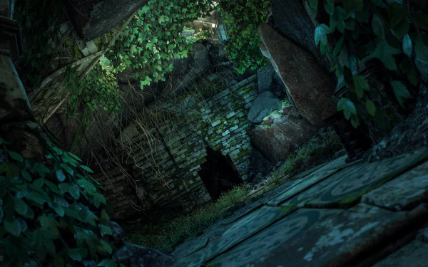  The Witcher 3: Wild Hunt / Overgrown