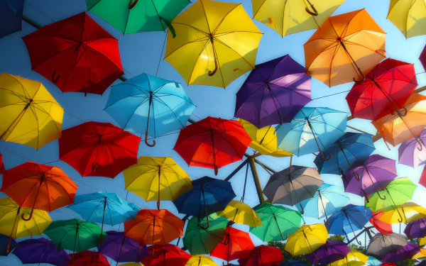 Vibrant multicolored umbrellas suspended against a clear blue sky, captured in a 4K Ultra HD photograph, creating a vivid and dynamic desktop wallpaper background.