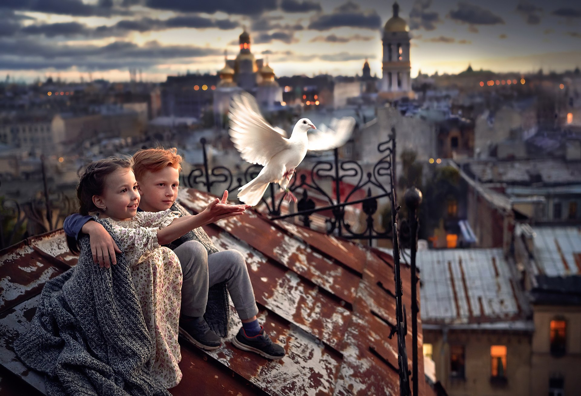 Download Pigeon Bird City Photography Child 4k Ultra HD Wallpaper