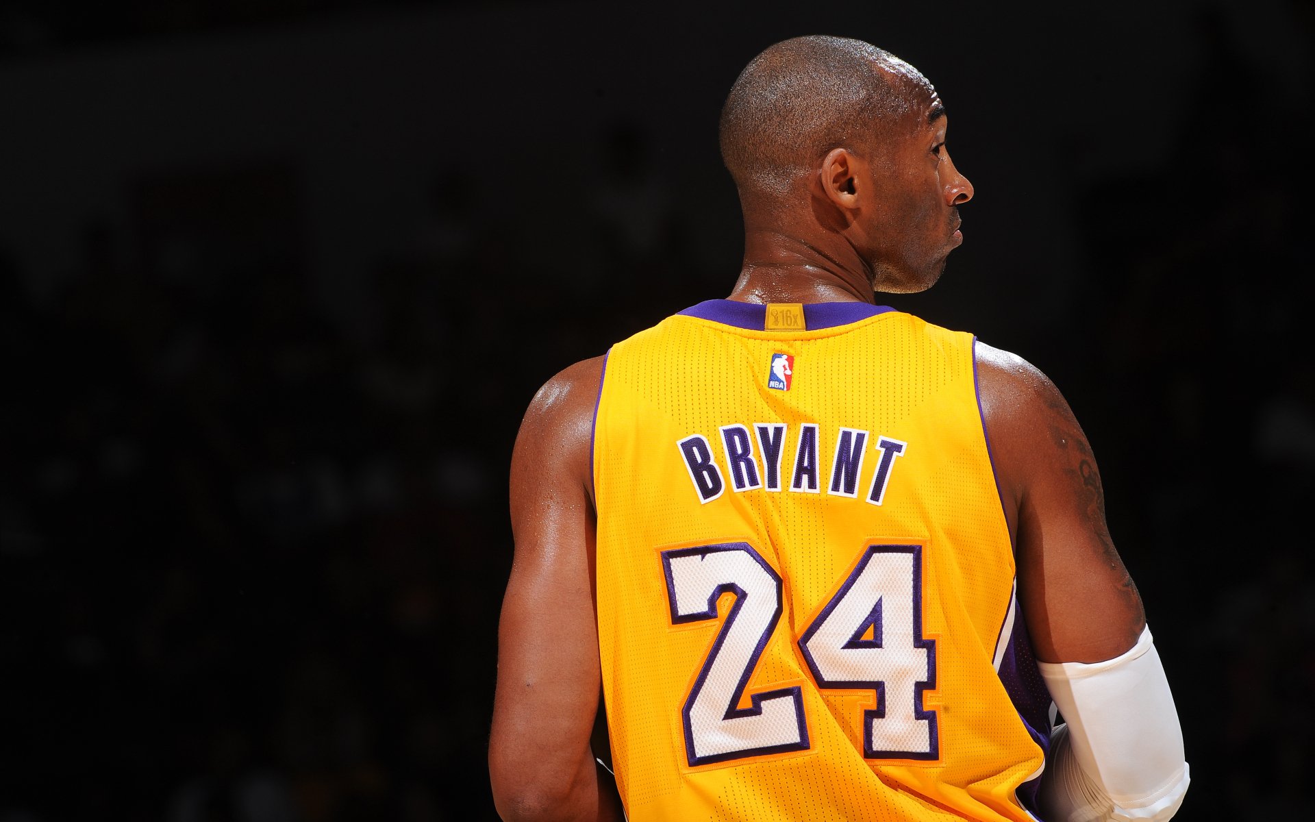 Download Los Angeles Lakers Basketball NBA Kobe Bryant Sports K Ultra HD Wallpaper