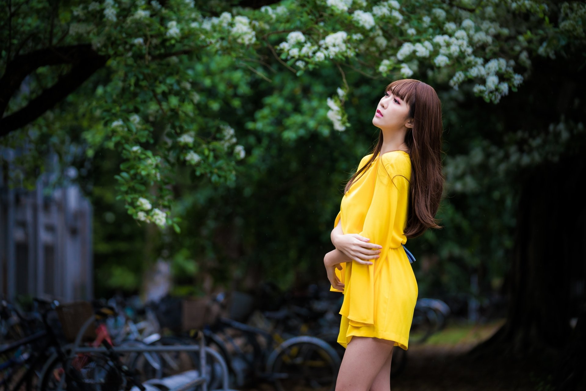 Download Yellow Dress Long Hair Brunette Depth Of Field Model Woman Asian 4k Ultra HD Wallpaper