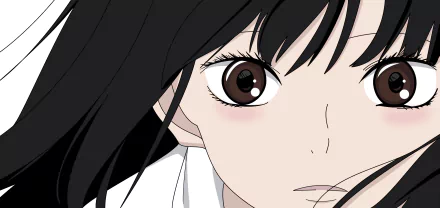 Sawako Kuronuma (Kimi ni Todoke) close-up: anime 2K Quad HD PC desktop wallpaper/background showing her large brown eyes and flowing black hair.
