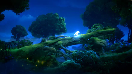 video game Ori and the Will of the Wisps HD Desktop Wallpaper | Background Image