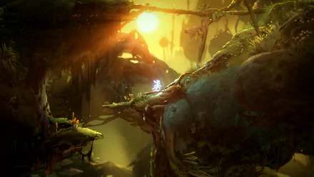video game Ori and the Will of the Wisps HD Desktop Wallpaper | Background Image