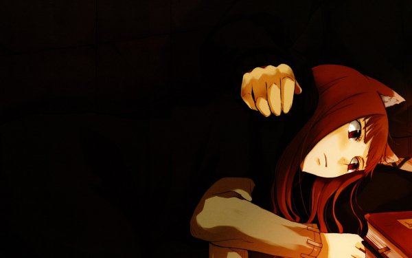 Anime Spice and Wolf Holo HD Wallpaper | Background Image
