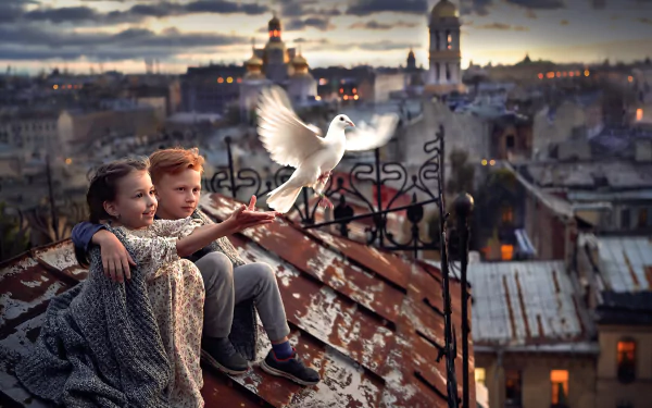 pigeon bird city photography child HD Desktop Wallpaper | Background Image