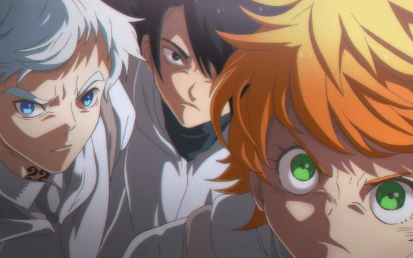 Norman (The Promised Neverland) Ray (The Promised Neverland) Emma (The Promised Neverland) Anime The Promised Neverland HD Desktop Wallpaper | Background Image