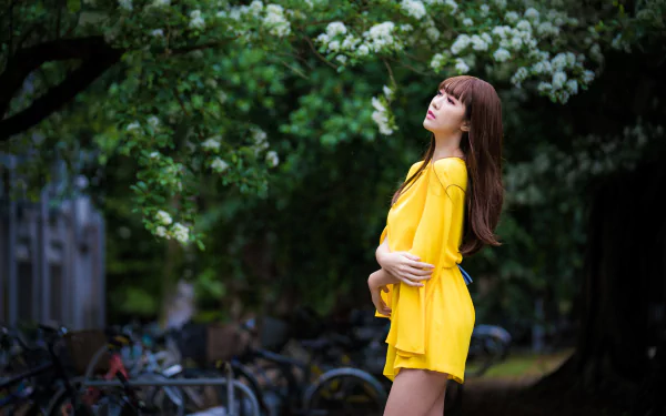 yellow dress long hair brunette depth of field model woman asian HD Desktop Wallpaper | Background Image
