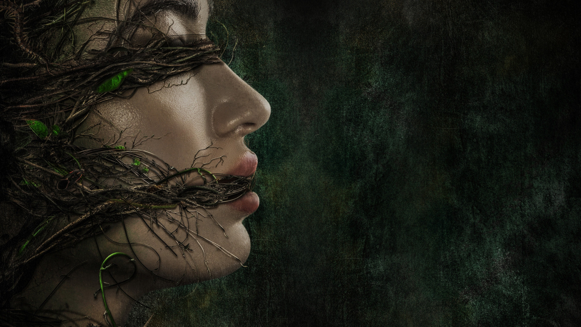 TV Show Swamp Thing HD Wallpaper | Background Image
