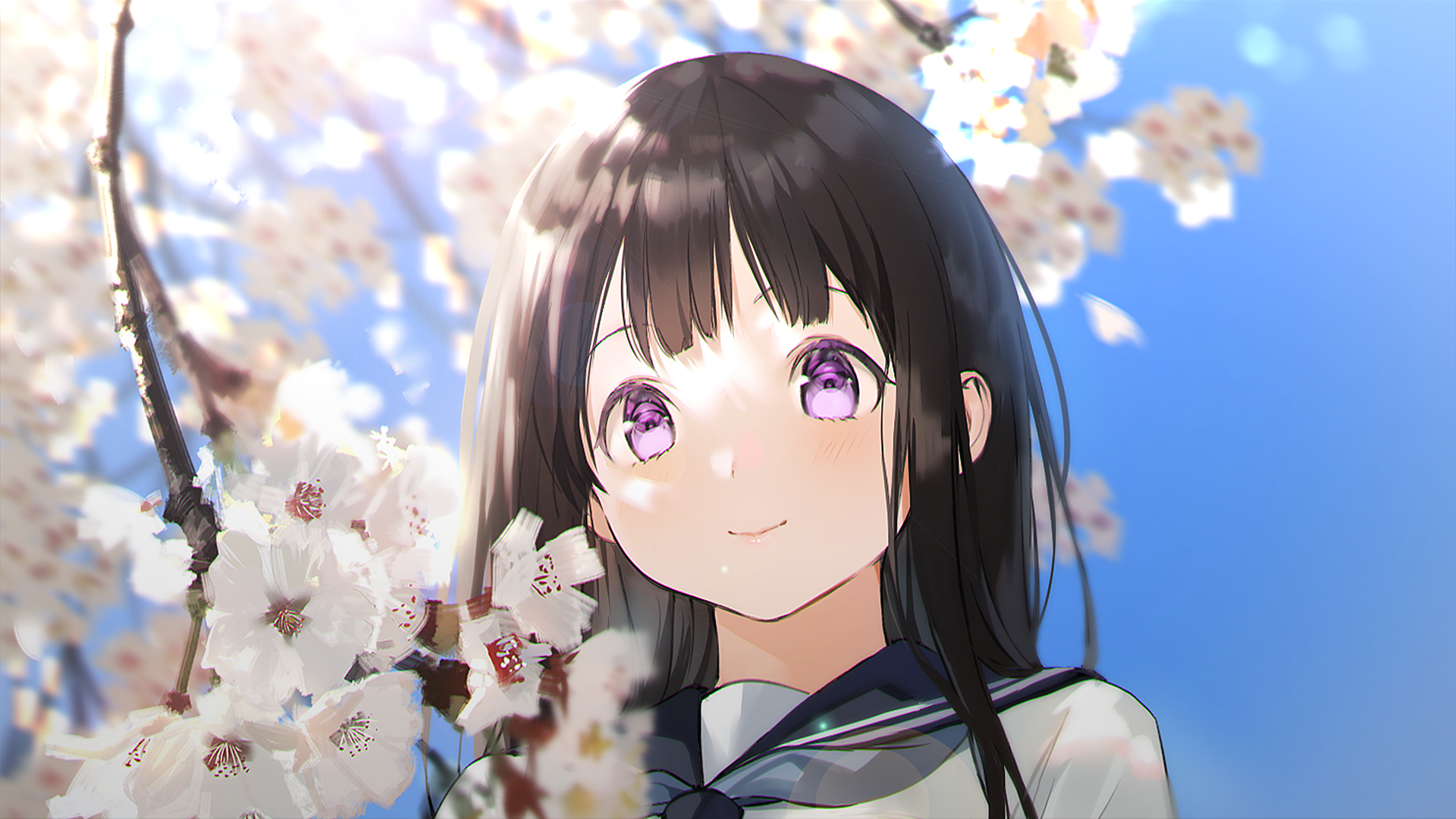 Download School Uniform Cherry Blossom Black Hair Purple Eyes Eru ...