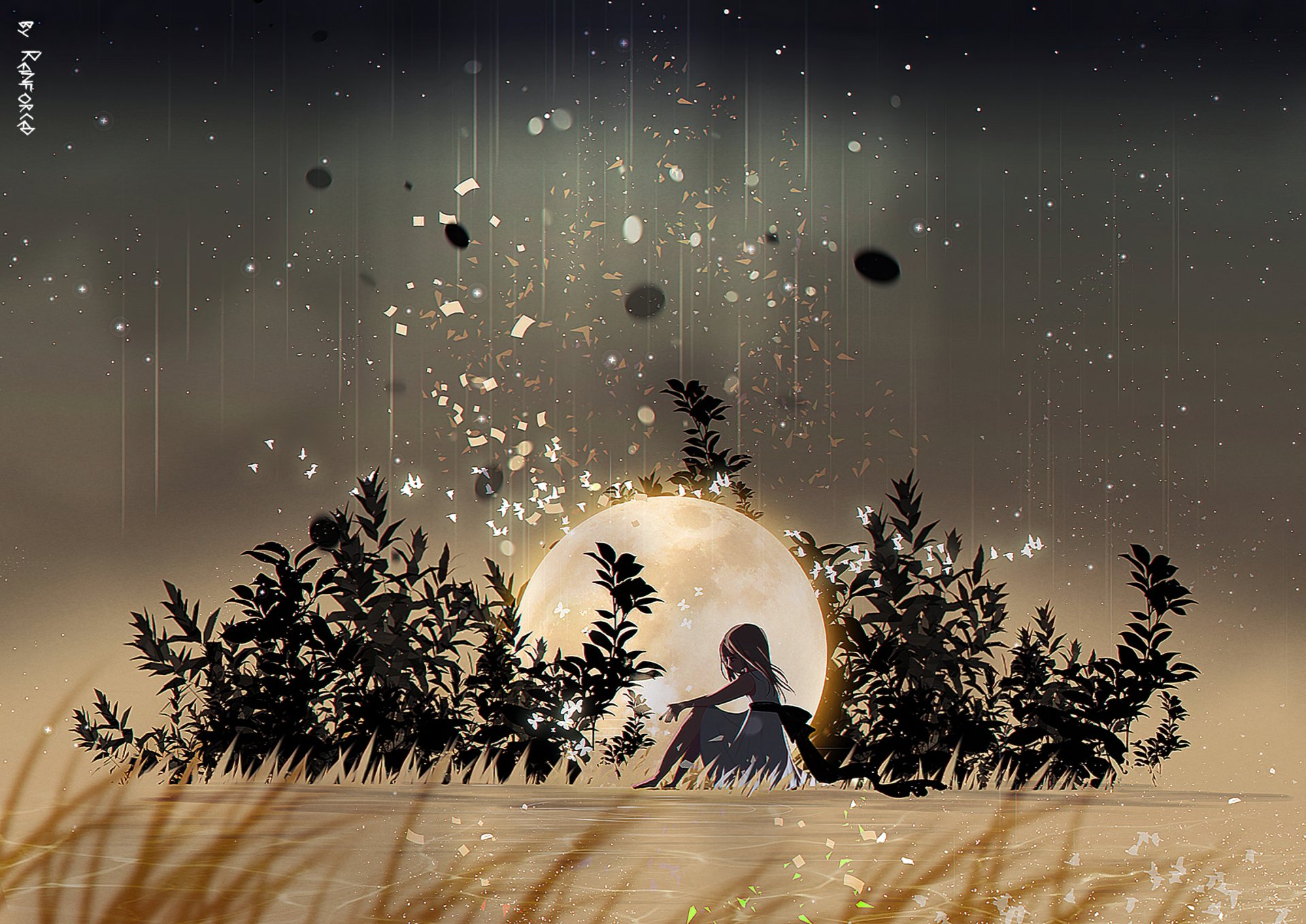 Download Grass Moon Anime Girl Anime Girl HD Wallpaper by reinforced