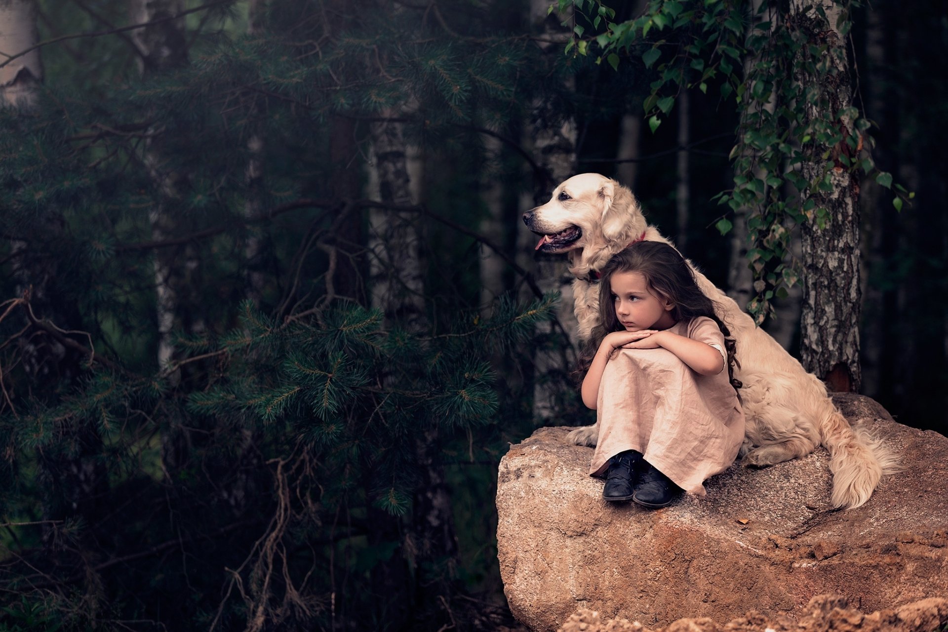 Download Labrador Retriever Little Girl Dog Photography Child HD Wallpaper