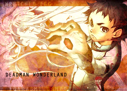 Shiro (Deadman Wonderland) Ganta Igarashi Anime Deadman Wonderland HD Desktop Wallpaper | Background Image