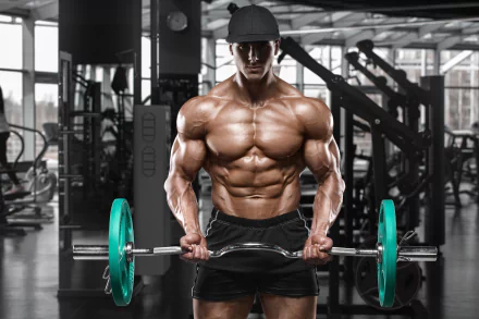 bodybuilding muscle gym weightlifting Sports HD Desktop Wallpaper | Background Image