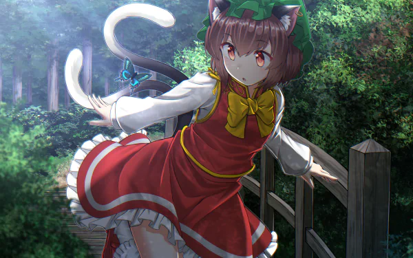 Chen (Touhou) Anime Touhou HD Desktop Wallpaper | Background Image