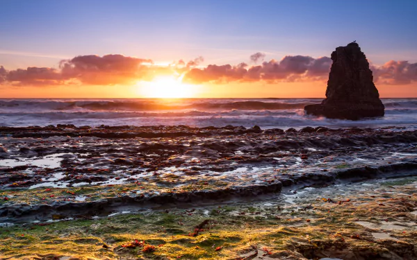 8K Ultra HD PC desktop wallpaper and background showing a golden sunset over a rocky beach, tide pools reflecting color and a solitary sea stack — nature, beach.