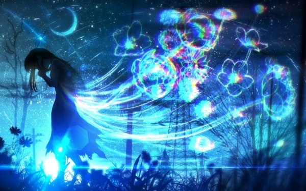 Anime Original Flower Night HD Wallpaper | Background Image