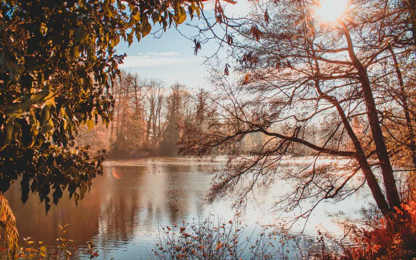 fall nature pond HD Desktop Wallpaper | Background Image