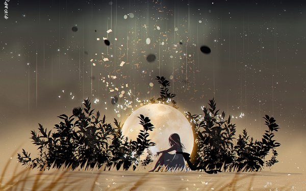 Anime Girl Moon Grass HD Wallpaper | Background Image